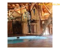 Mana Pools Safari lodge package