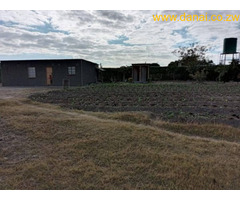 FOR SALE: Half an acre stand in Spitzkop (about 20 km from Harare CBD)